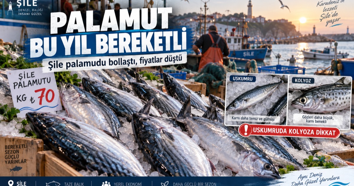 Temsili haber görseli: buz üzerine dizilmiş palamutlarla balık tezgâhı